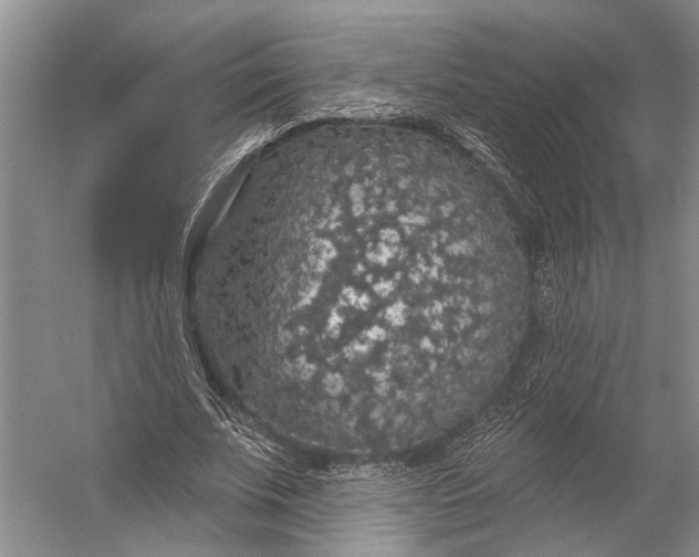 X0000056350679200509161802