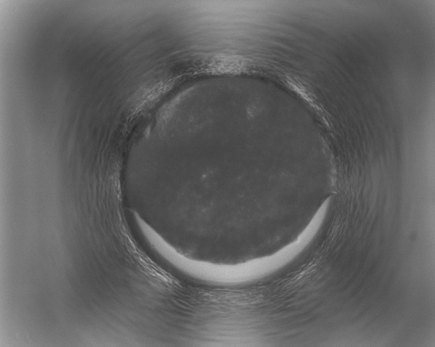 X0000056350681200509161802