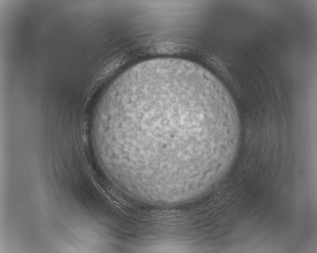 X0000056350683200509161802