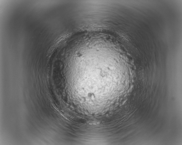 X0000056350687200509161802