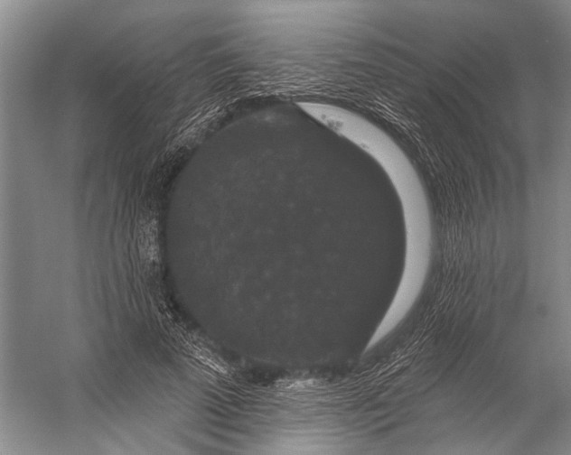 X0000056350689200509161802