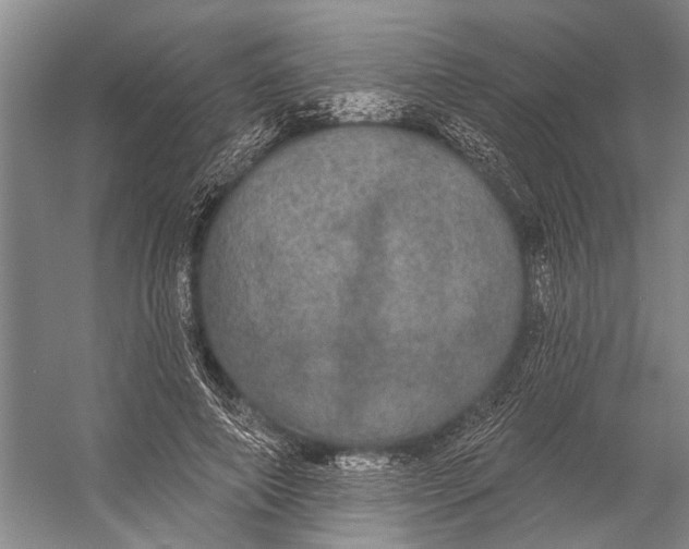 X0000056350690200509161802