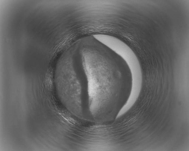 X0000056350691200509161802