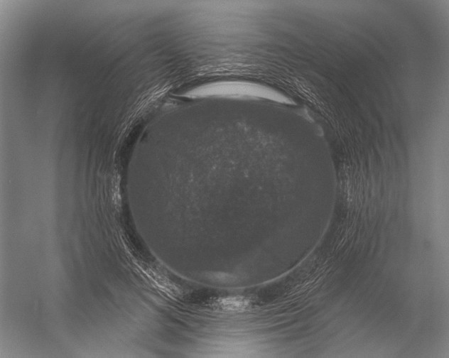 X0000056350692200509161802