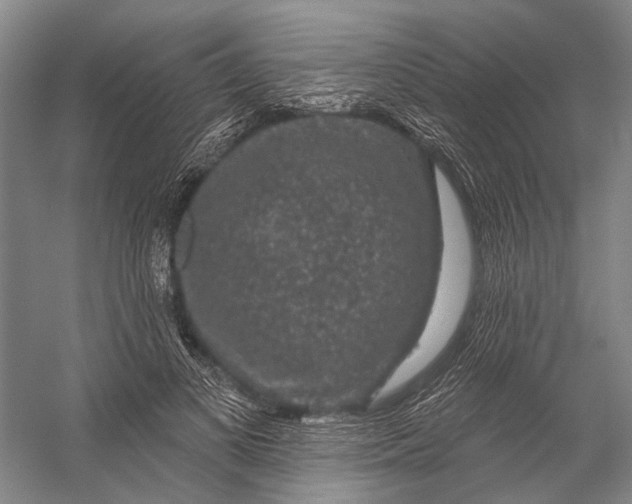 X0000056350693200509161802