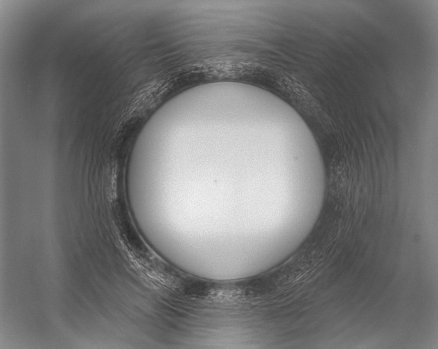 X0000056350694200509161802