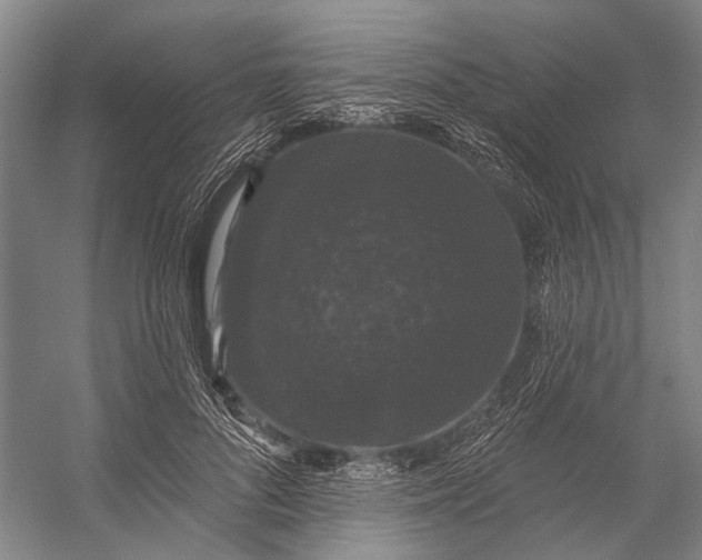 X0000056350696200509161802