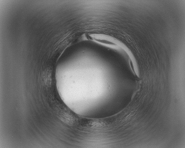 X0000056350697200509161802