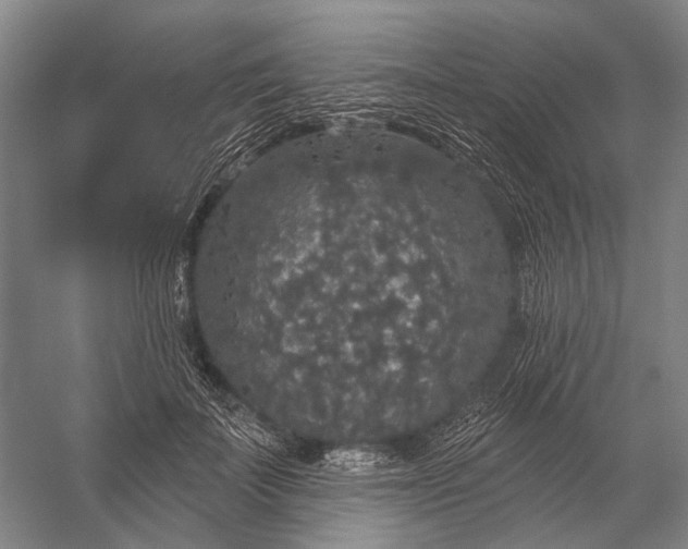 X0000056350699200509161802