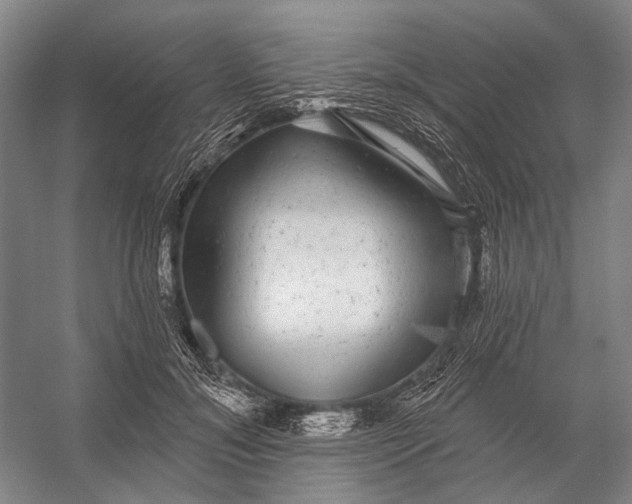 X0000056350700200509161802