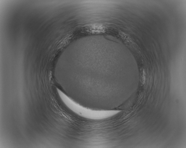 X0000056350704200509161802