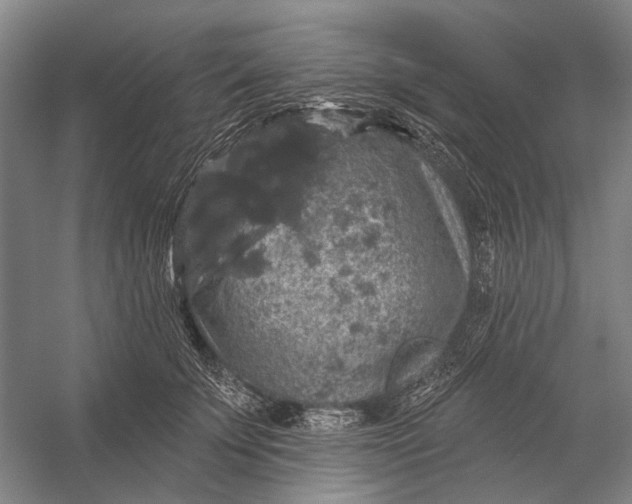 X0000056350707200509161802