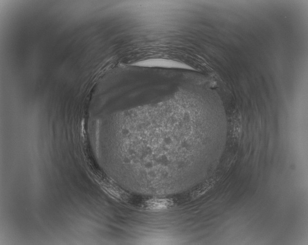 X0000056350711200509161802