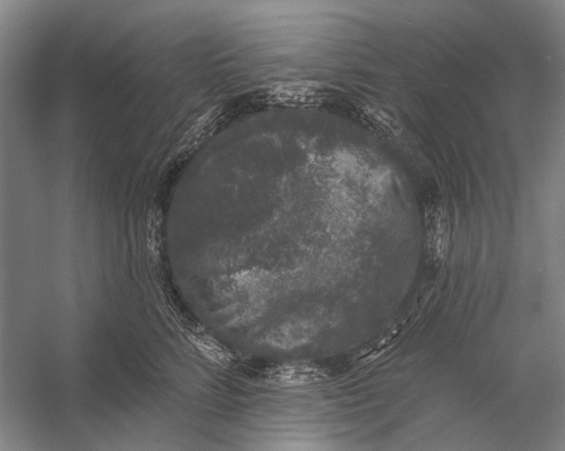 X0000056350712200509161802