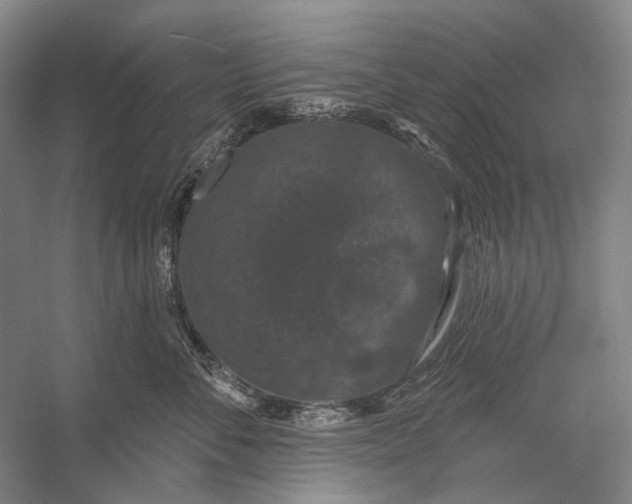 X0000056350716200509161802