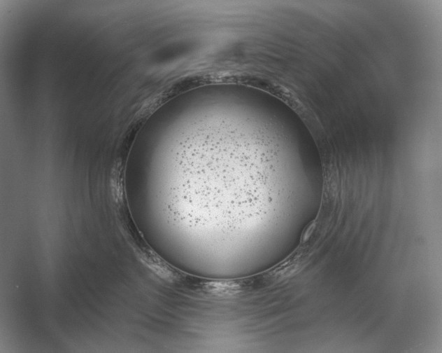 X0000056350719200509161802