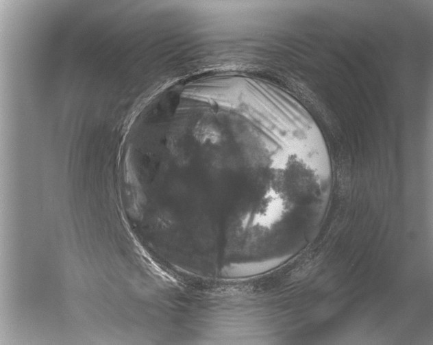 X0000056350721200509161801