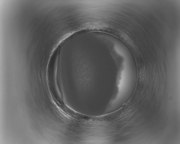 X0000056350722200509161801