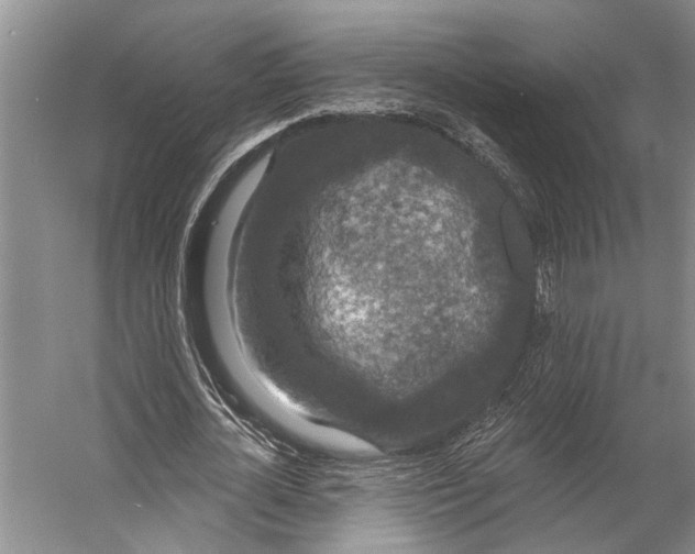 X0000056350724200509161801