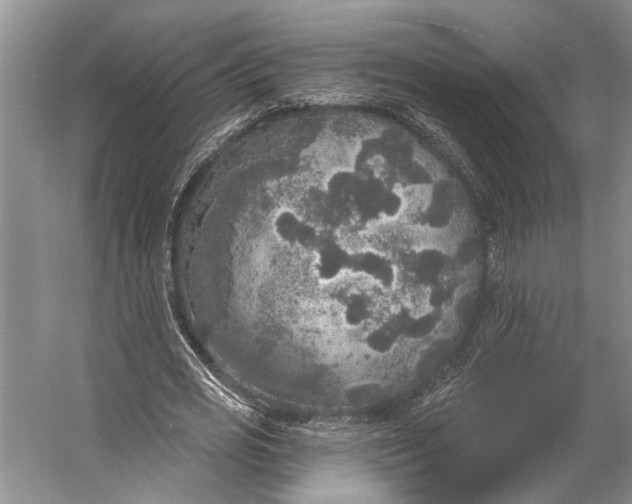 X0000056350725200509161801