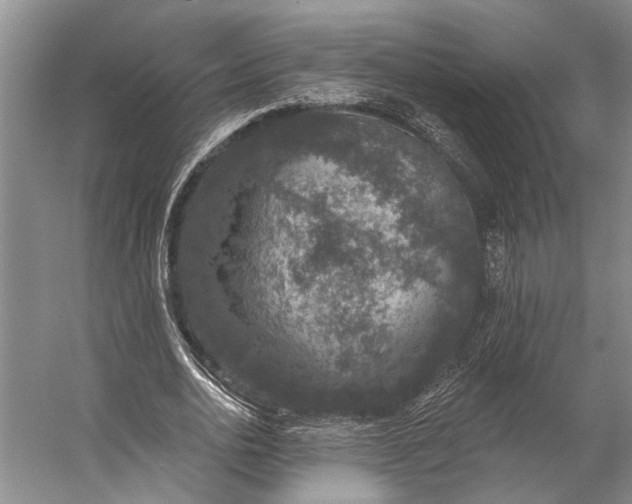 X0000056350726200509161801