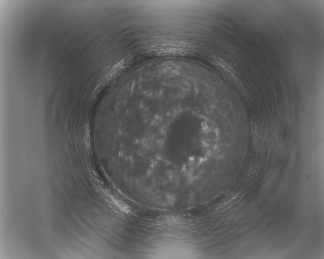 X0000056350729200509161801