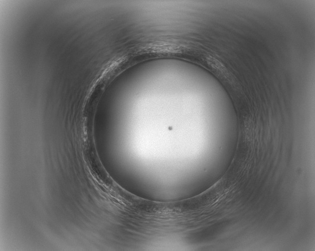 X0000056350731200509161801