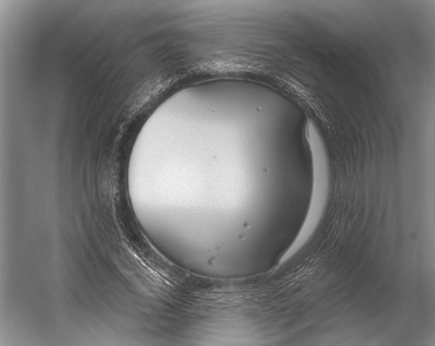 X0000056350732200509161801