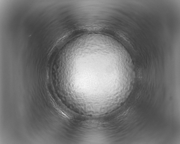 X0000056350733200509161801