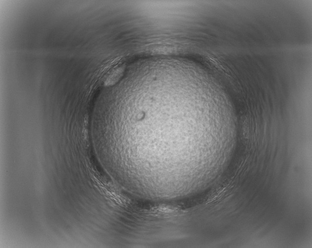 X0000056350737200509161801