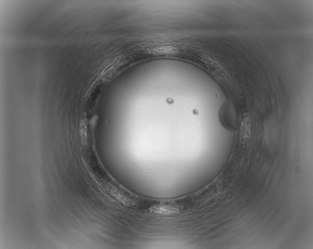 X0000056350739200509161801