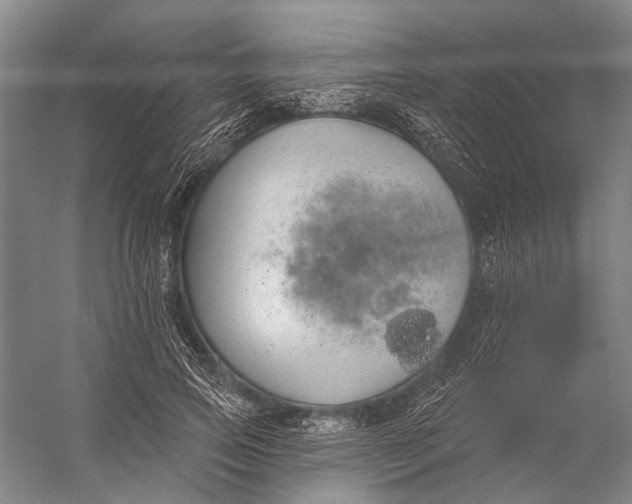 X0000056350741200509161801