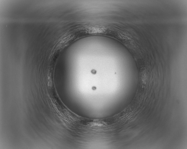 X0000056350743200509161801