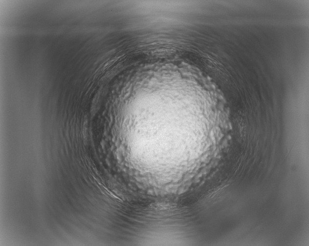 X0000056350745200509161801