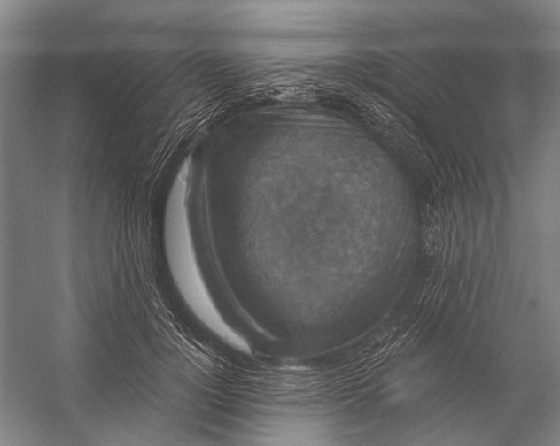 X0000056350748200509161801