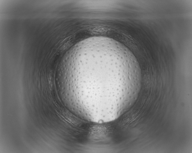 X0000056350749200509161801