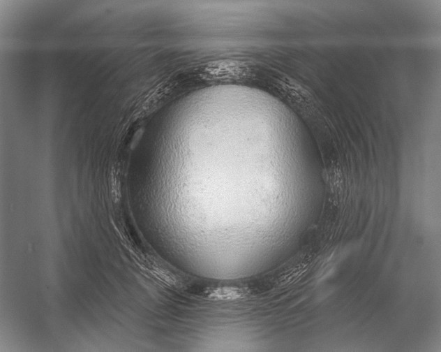 X0000056350751200509161801