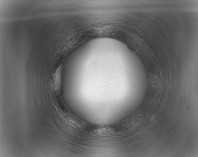 X0000056350752200509161801