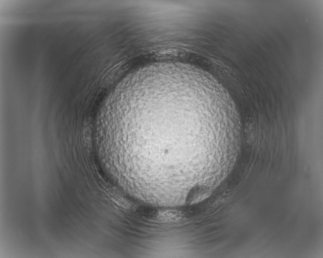 X0000056350753200509161801