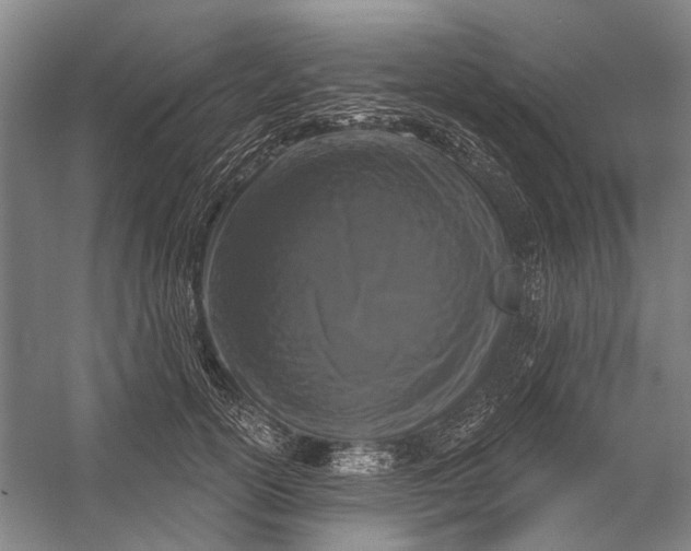 X0000056350754200509161801