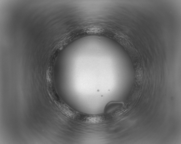 X0000056350755200509161801