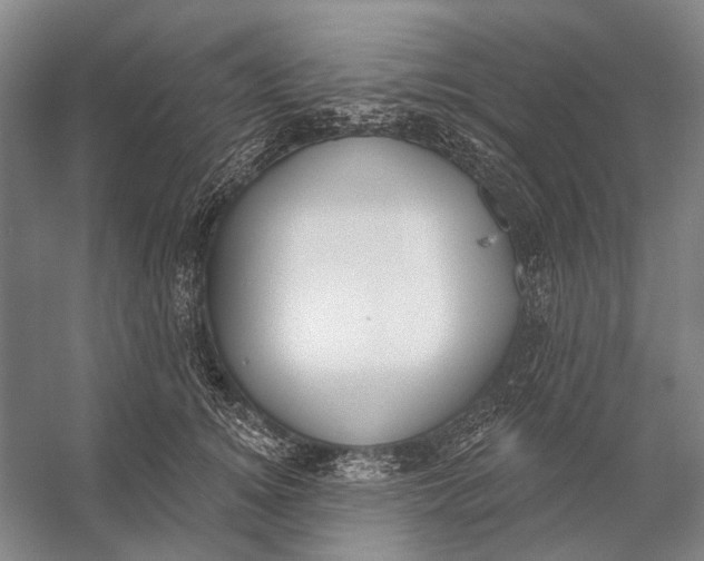 X0000056350756200509161801