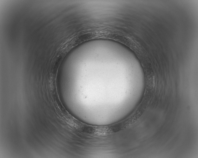 X0000056350757200509161801