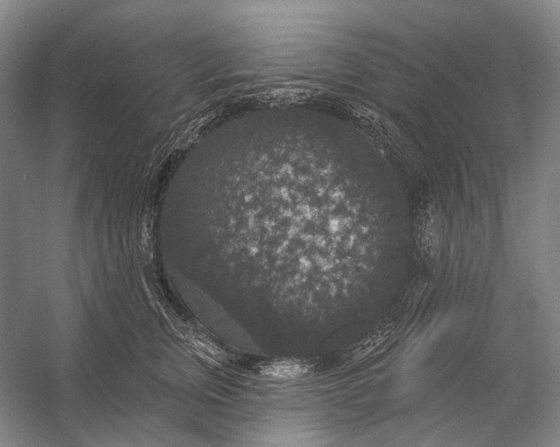 X0000056350759200509161801