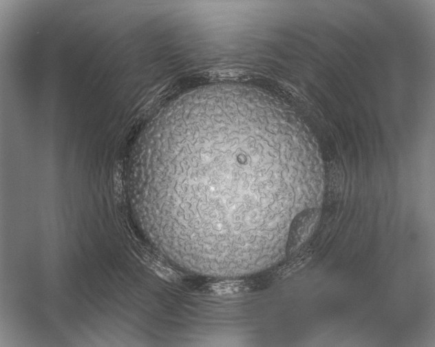 X0000056350761200509161802