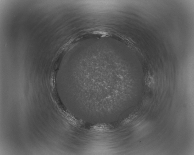 X0000056350763200509161802