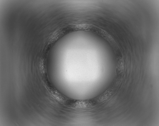 X0000056350764200509161802