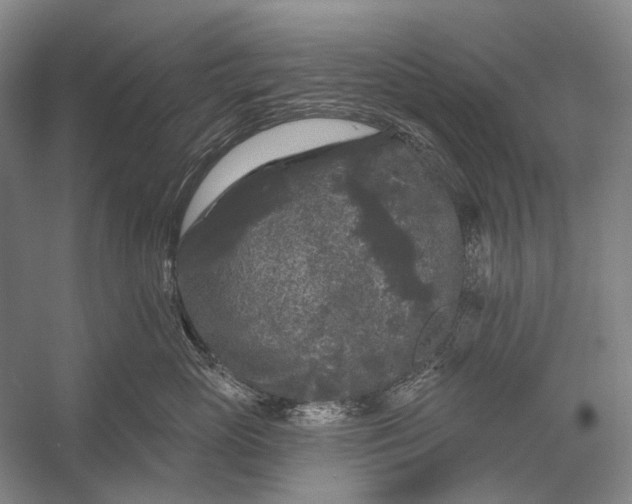 X0000056350765200509161802