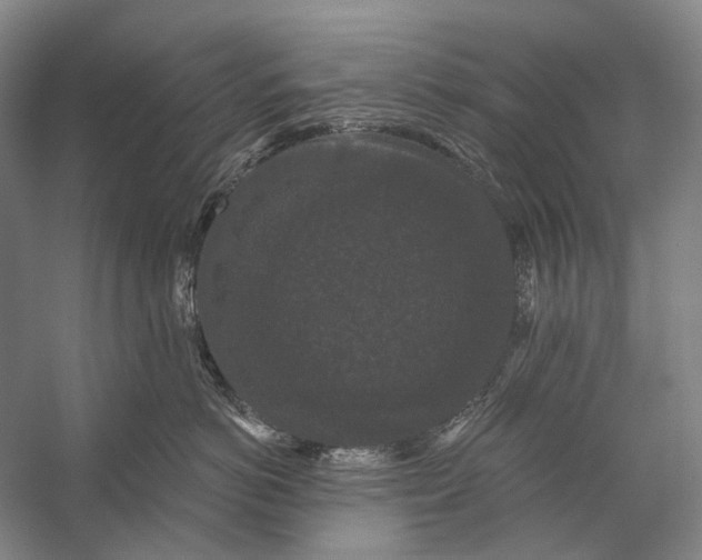 X0000056350766200509161802