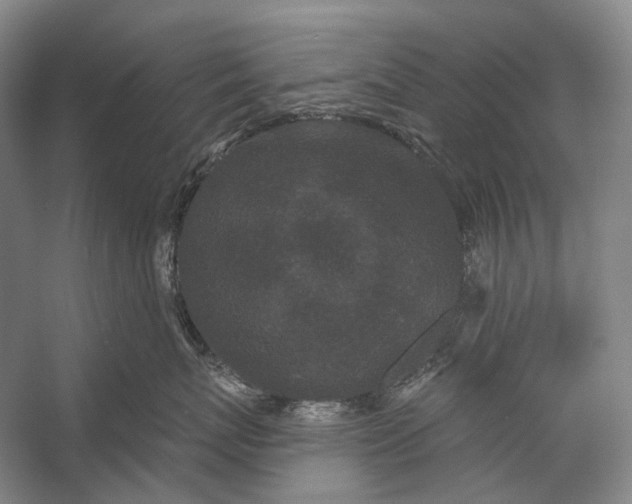 X0000056350767200509161802